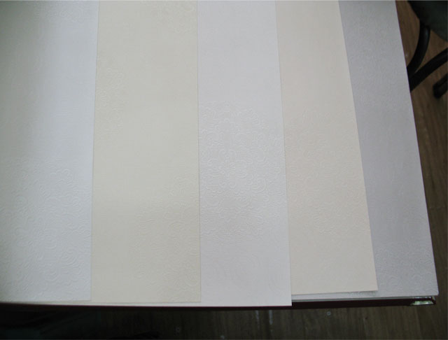 TEMPTATION���� 2506 ��530mm���L10.05�� ���� ��ɫ