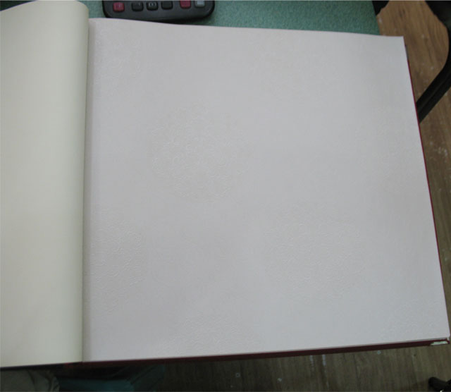 TEMPTATION���� 2506 ��530mm���L10.05�� ���� ��ɫ