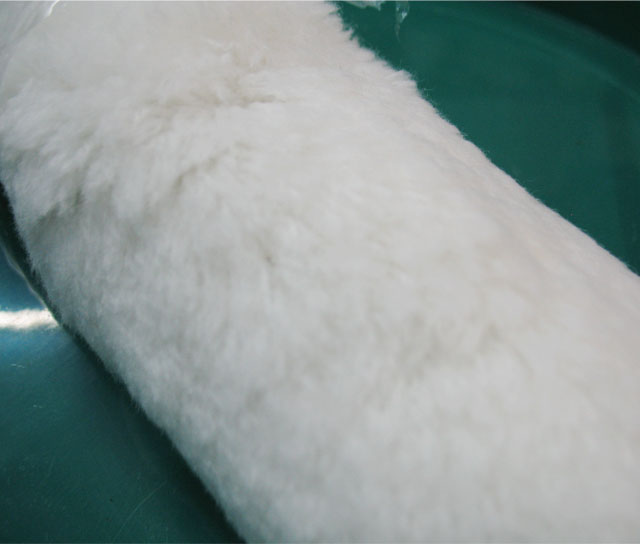 Ҭ��LͲˢ ���I�ÝLͲ����� 10��(250mm)