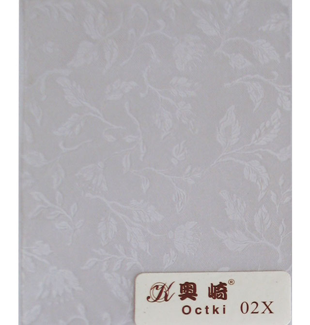 ������ 02X 0.6��10m ͸��