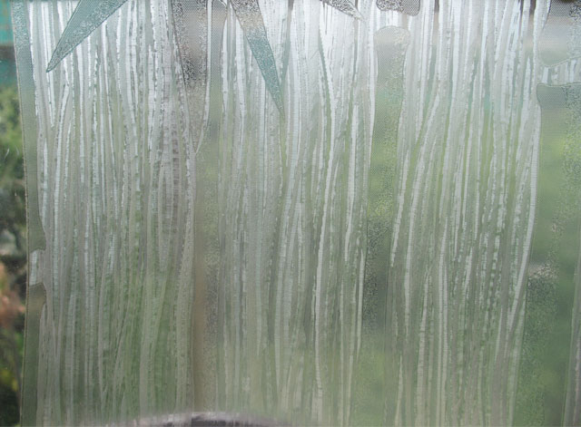 �W�鲣���� 501 0.6��10m ͸��