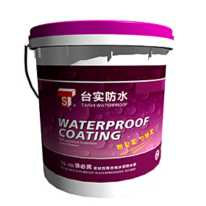 ��ˮͿ�� TS-5B���g�Ծۺ���ˮ���ˮ�z(Ϳ���`) 20kg TS-5B