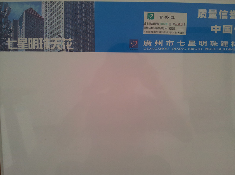 ʯ����컨 ��������ϵ�ЏͺϹ��}��1001 595mm��595mm