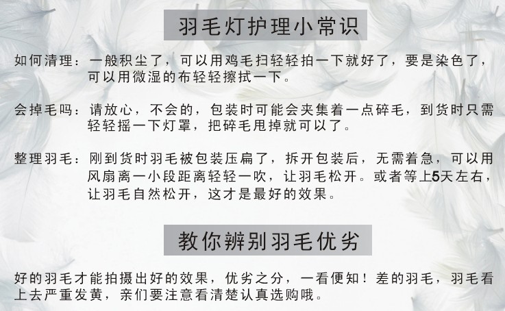 �����_�� ��̖������ë�{���_�P ��40cm ���s�L�� ���� ���ٟ���