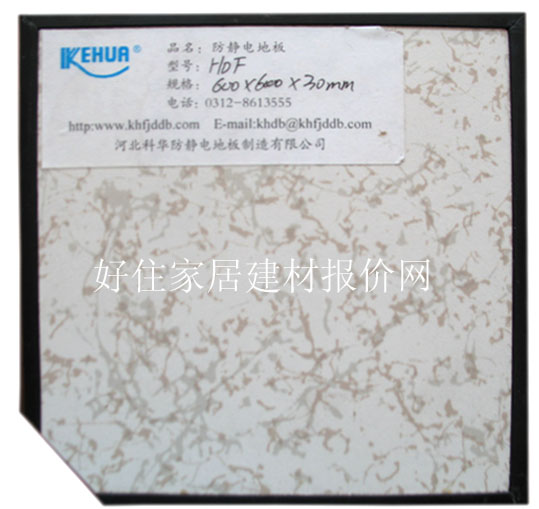 PVC���o늵ذ� lange12 600��600��3.0mm