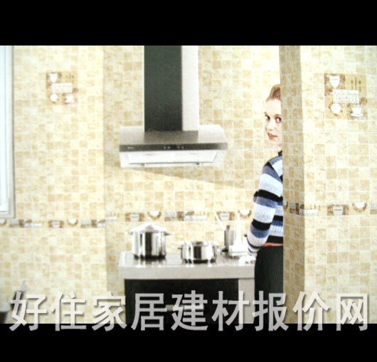 �@ʯ���u��Ƭ F241 300��450mm