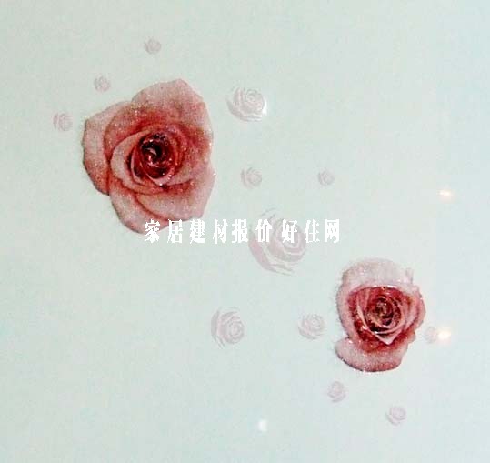 ���u��Ƭ 30-45DJ70009CQ 300��450mm