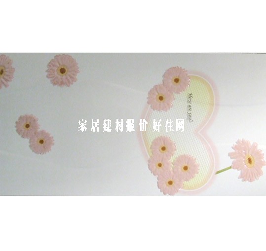 ���u��Ƭ JKY7807W 300��600mm