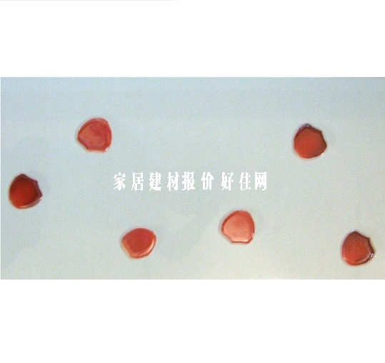 ���u��Ƭ JKY7801W 300��600mm