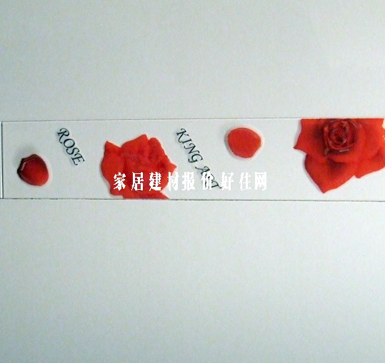 ��Ƭ ����JKY7801H 60mm��300mm