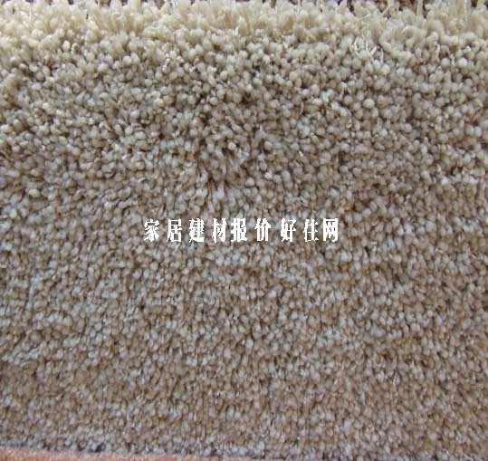 ��ͥ�M䁵�̺ CT-016 3.66��30M