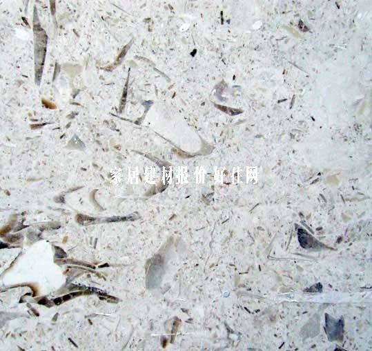 �f�S����ʯ ���ϴ���������S WF-21 ��20mm 