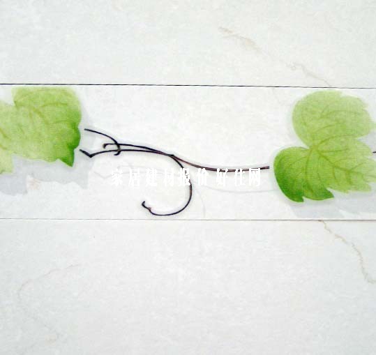 ��Ƭ ����APPX9003 60mm��300mm