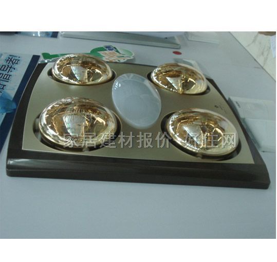 �W��ԡ�� FDP810A��  ���^