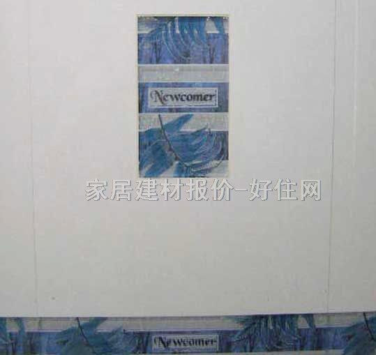 ���u��Ƭ 1-P45022 300��450mm