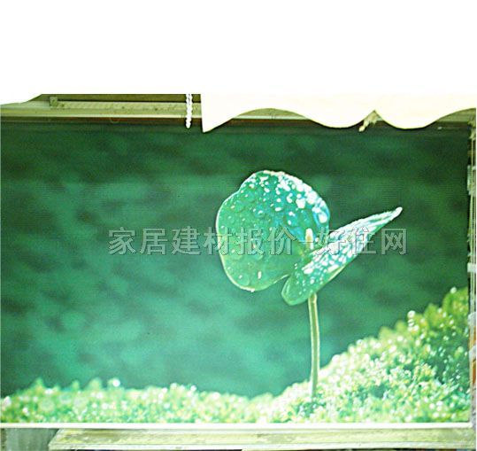 ��ꖺ� ����01 ӆ��