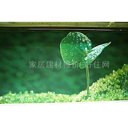 �t�ՏN�l��ꖺ� ����01 ӆ��