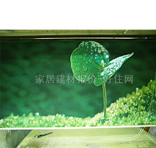 �t�ՏN�l��ꖺ� ����01 ӆ��