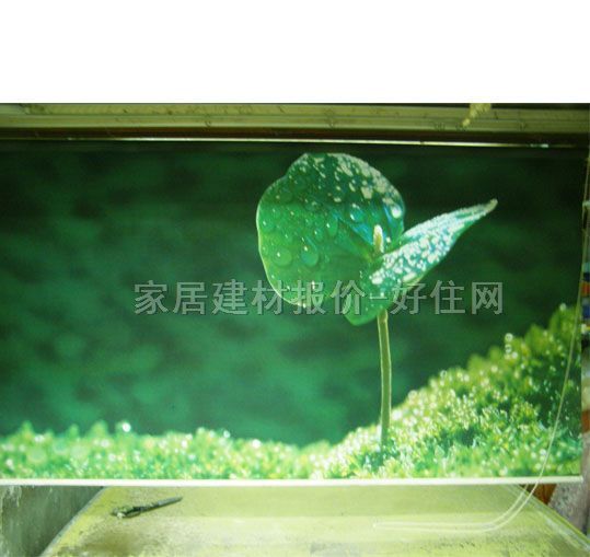 �t�ՏN�l��ꖺ� ����01 ӆ��