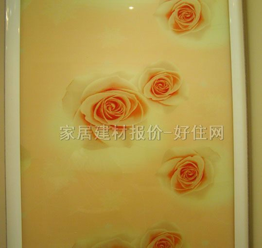 �¹������T �������T01 ӆ��