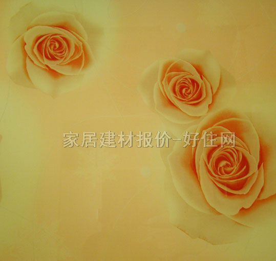 �S���¹������T �������T01 ӆ��