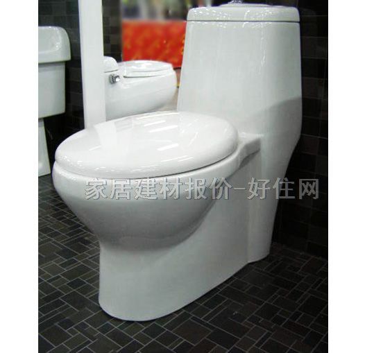 �����B�w�RͰ���� T1009 δ֪