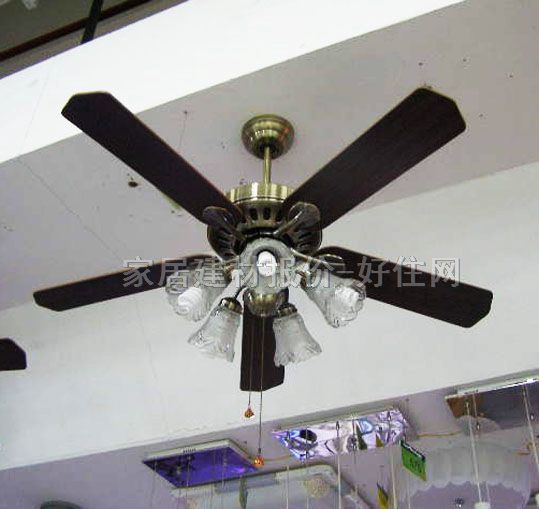 ���L���� ���ȟ�52�� 1010 ���ٟ���+��ˇ�������� ���y�͹��L�� ��ɫ