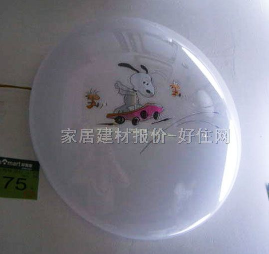 �ư�����픟� �P����픟�19 �A�� �F�������L�� �׵׎��D��������