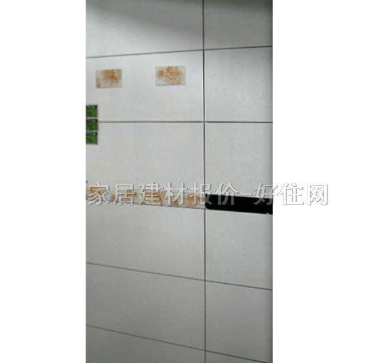 �ٺ͉��u��Ƭ BY1-63013HP1 300��600mm