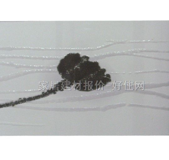 ���u��Ƭ YF024H1B 300��450mm