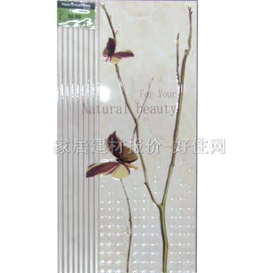 ���u��Ƭ ���u YL004H1B 300��600mm