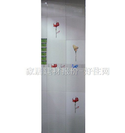 �|�i��Ƭ ����LM85601Z09 50mm��250mm