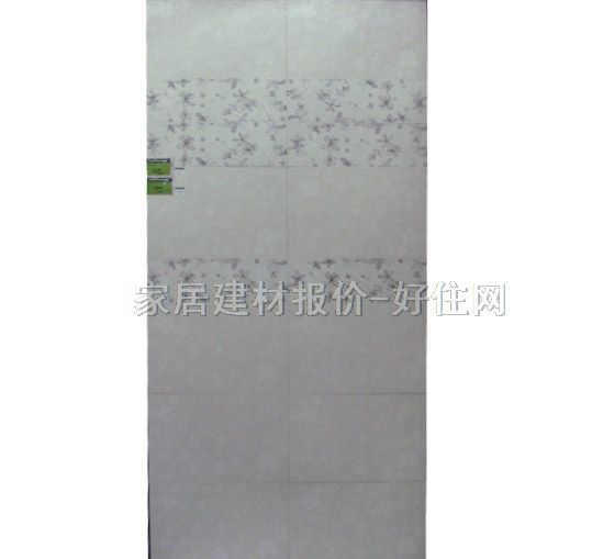 ���A��Ƭ �������� 2Y450366G-S 60mm��300mm