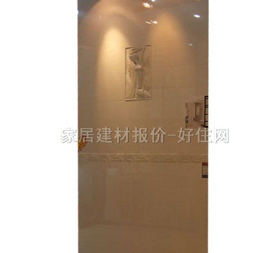 ���A��Ƭ ����445013G-H 60mm��300mm