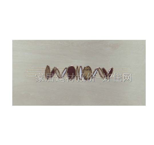 ���u��Ƭ 009 300��600mm