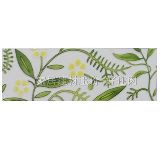 ��Ƭ ����G1001L2mS 100mm��300mm