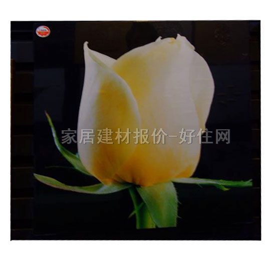 O���b� PZ-010 500��500mm