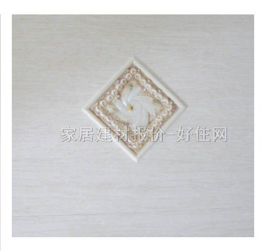 ���u��Ƭ GE6005A 300��600mm