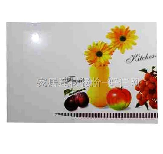 ���Չ��u��Ƭ 2A451580Z1-W1 300��450mm