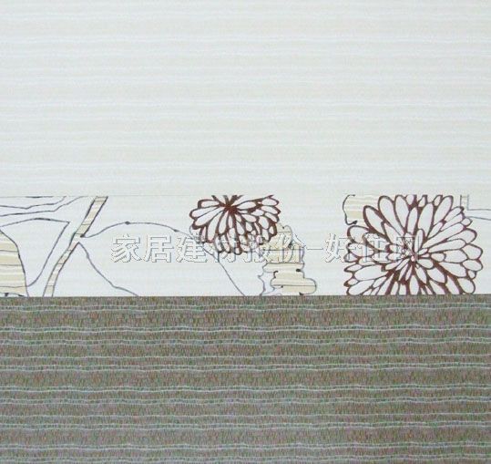 ��Ƭ ����M4200TM01 70mm��450mm