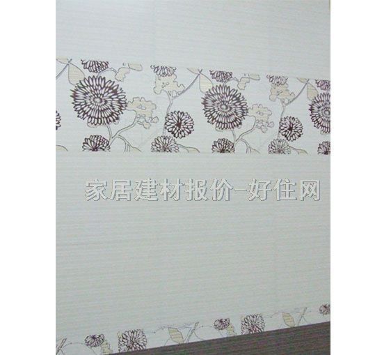 ��ˇ����Ƭ ����M4200TM01 70mm��450mm