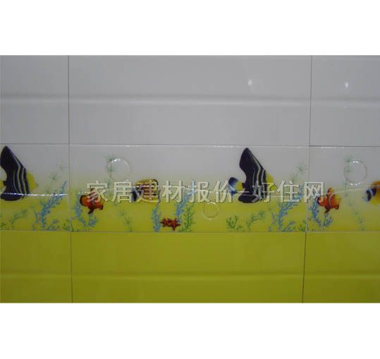 ��Ƭ ����CY61102HGY3 110mm��300mm