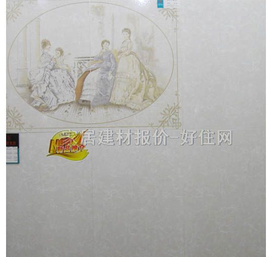 �ճǉ��u��Ƭ CY6116OPH1 300��450mm