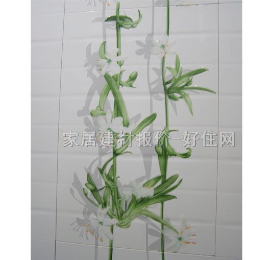 ���u��Ƭ CY61101PH2 300��450mm