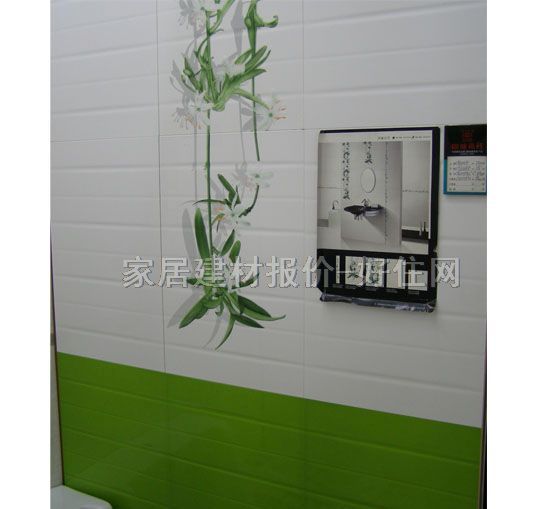 �ճǉ��u��Ƭ CY61101PH2 300��450mm