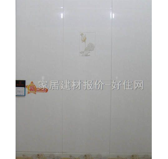 �ճ���Ƭ ����׺�CY61138PGY2 60mm��300mm