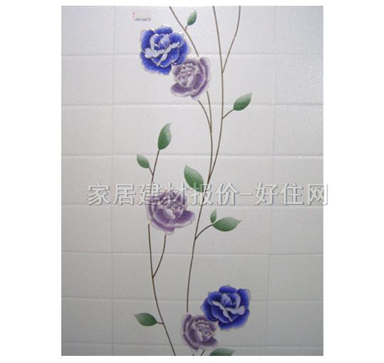 ���u��Ƭ MG3-43546BT2 300��450mm