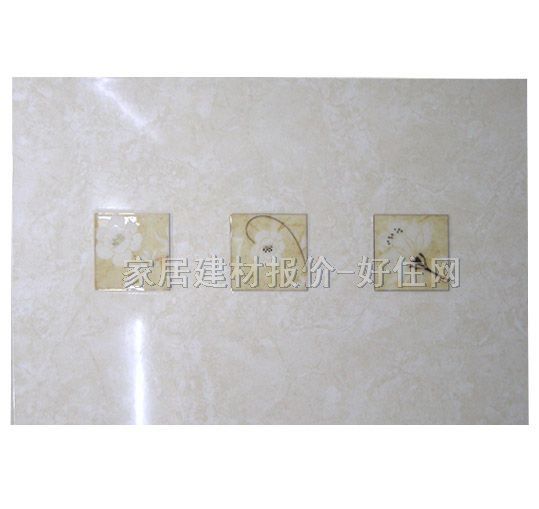 ���u��Ƭ J5820572 300��450mm