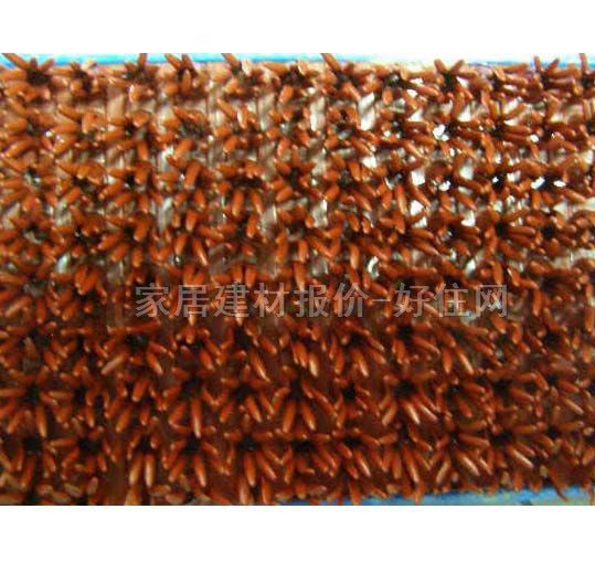 �������LͲˢ �Թ� 10��