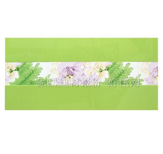 ��Ƭ ����9WBC3 60mm��300mm